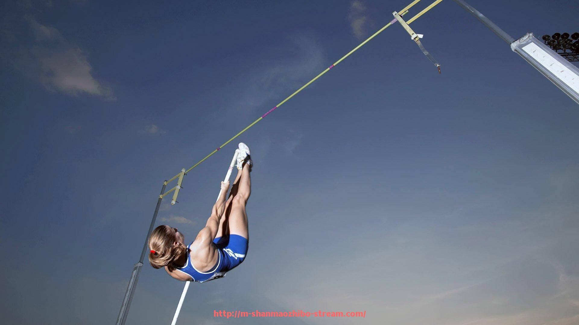 山猫直播官网-世俱杯赛事多语解说内容对比与用户接受度分析