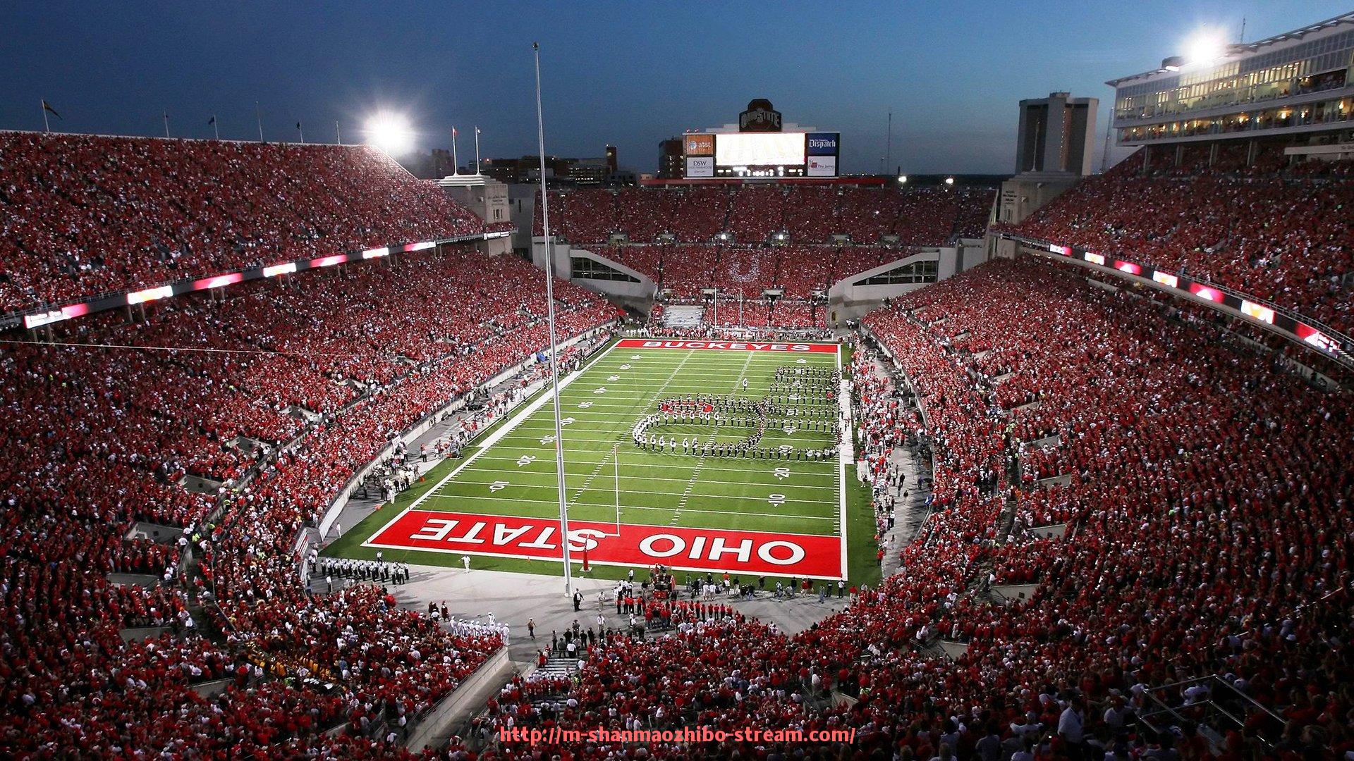 山猫直播官网-多功能健身器材购买指南：实用性、品牌与预算的综合考量